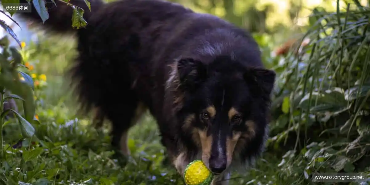 📺 实时直击，让热爱永不缺席！